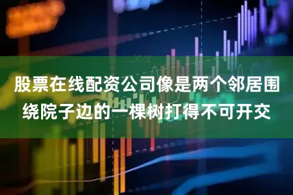 股票在线配资公司像是两个邻居围绕院子边的一棵树打得不可开交