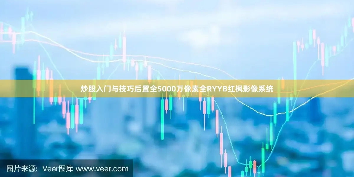 炒股入门与技巧后置全5000万像素全RYYB红枫影像系统