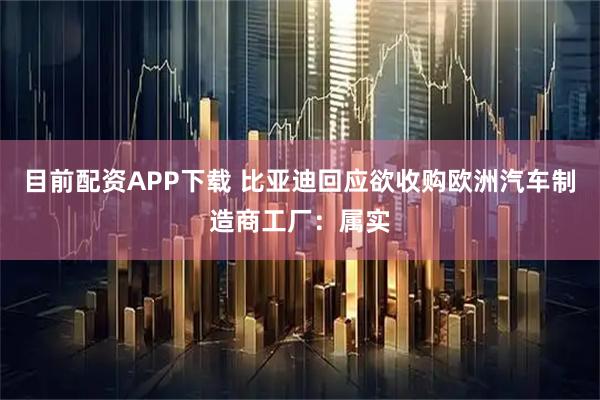 目前配资APP下载 比亚迪回应欲收购欧洲汽车制造商工厂：属实